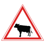 Pakistani cautionary road sign showing a black cow inside a red-bordered triangle warning of cattle crossing